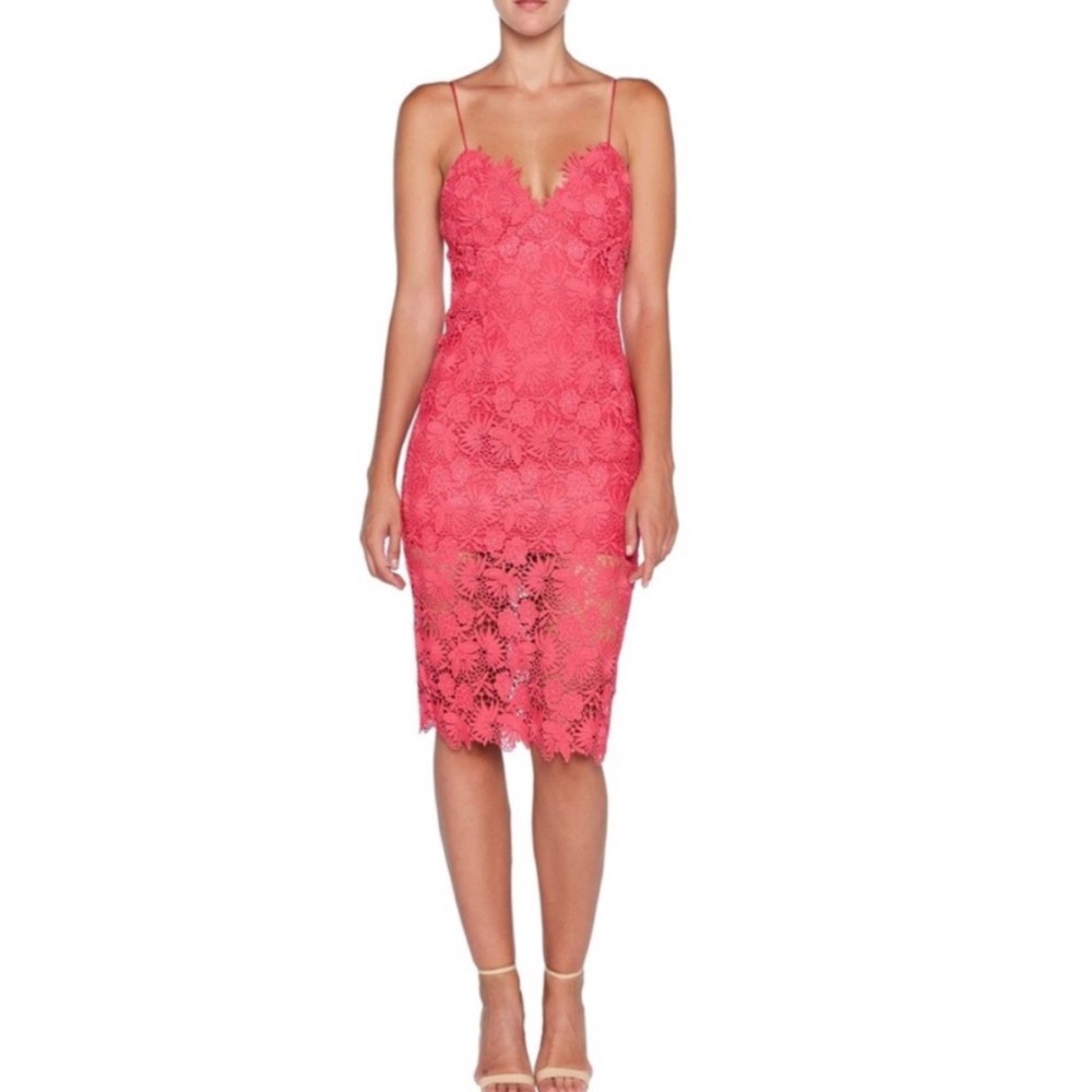 Bardot Tayla Pink Lace Cocktail Midi Dress